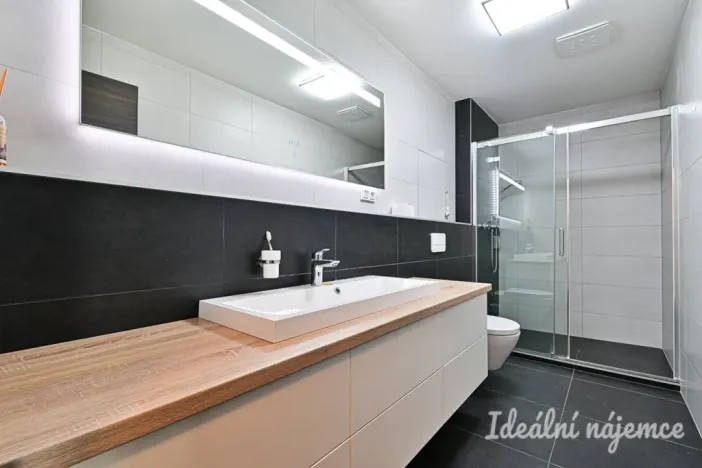Pronájem bytu 2+kk, Brno - Sadová, Menšíkova, 60 m2