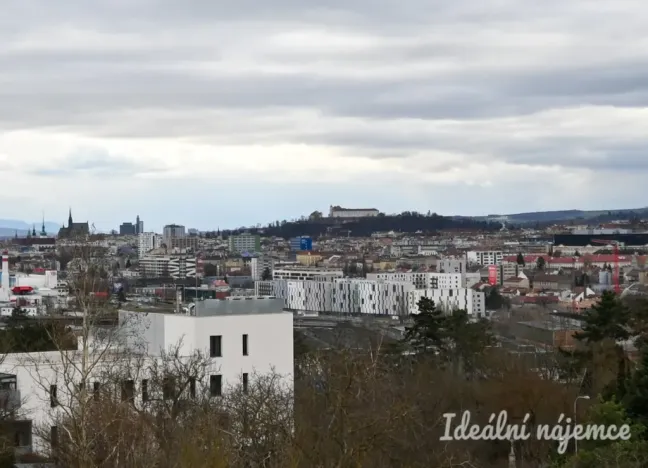 Pronájem bytu 2+kk, Brno - Sadová, Menšíkova, 60 m2