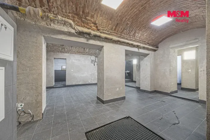 Pronájem komerční nemovitosti, Praha, Seifertova, 100 m2