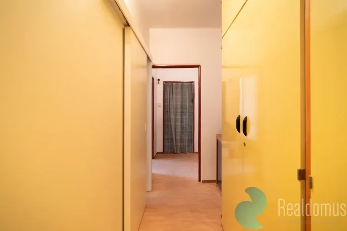 Prodej bytu 1+1, České Budějovice, Kubatova, 50 m2