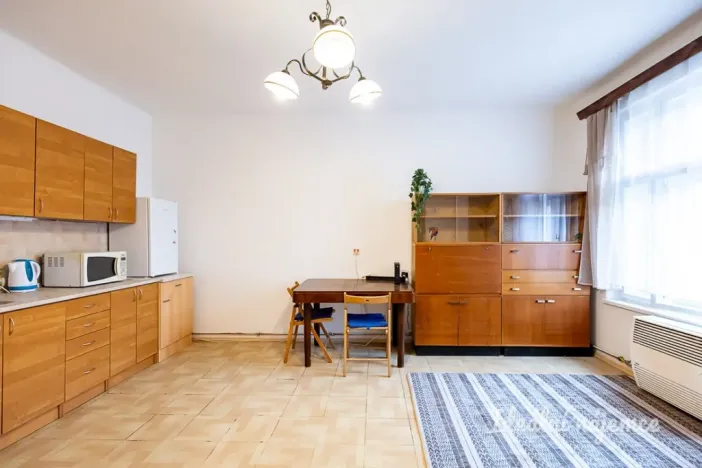 Pronájem bytu 1+kk, Praha - Žižkov, Jana Želivského, 30 m2