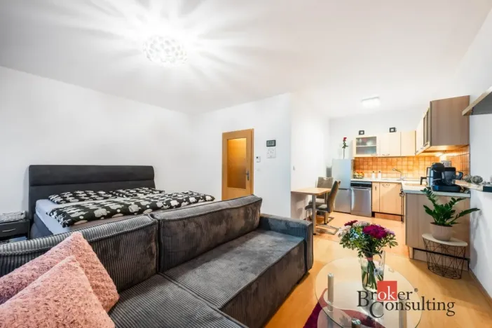 Prodej bytu 1+kk, Brno - Líšeň, Holzova, 40 m2
