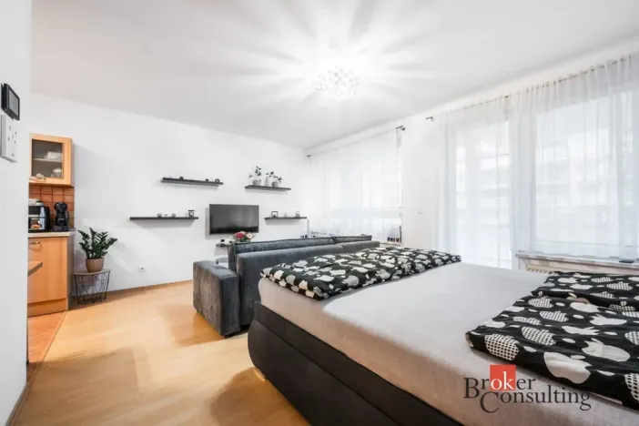 Prodej bytu 1+kk, Brno - Líšeň, Holzova, 40 m2