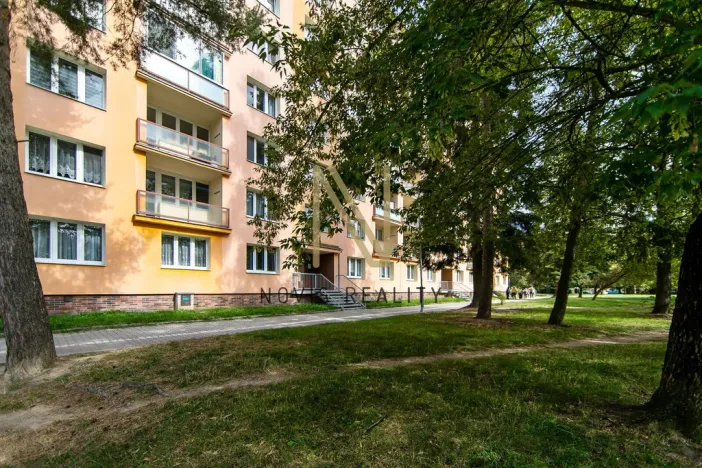 Pronájem bytu 2+1, Plzeň, Dvořákova, 56 m2