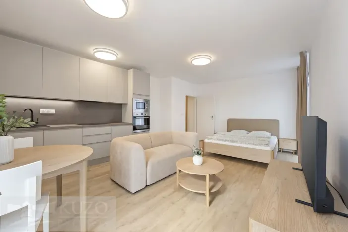 Pronájem bytu 1+kk, Brno, Auerswaldova, 38 m2