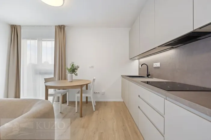 Pronájem bytu 1+kk, Brno, Auerswaldova, 38 m2