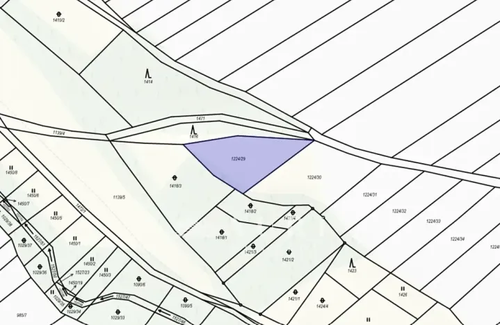 Prodej lesa, Peruc, 910 m2