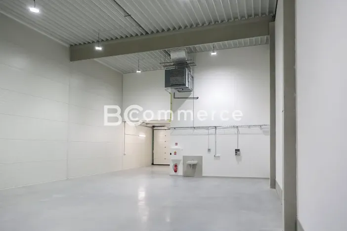 Pronájem skladu, Moravany, Průmyslová, 325 m2