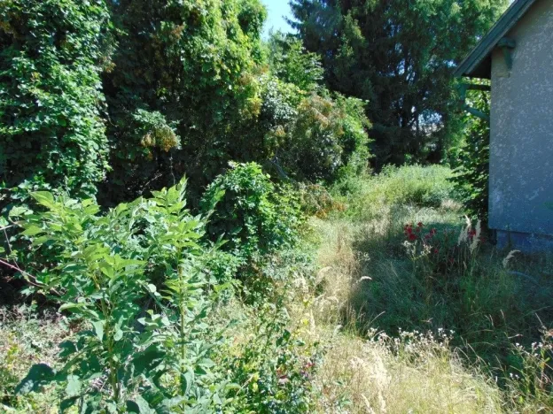 Dražba rodinného domu, Velký Borek, Skuhrovská, 91 m2