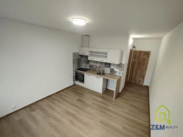 Pronájem bytu 1+kk, Chodov, Čapkova, 20 m2