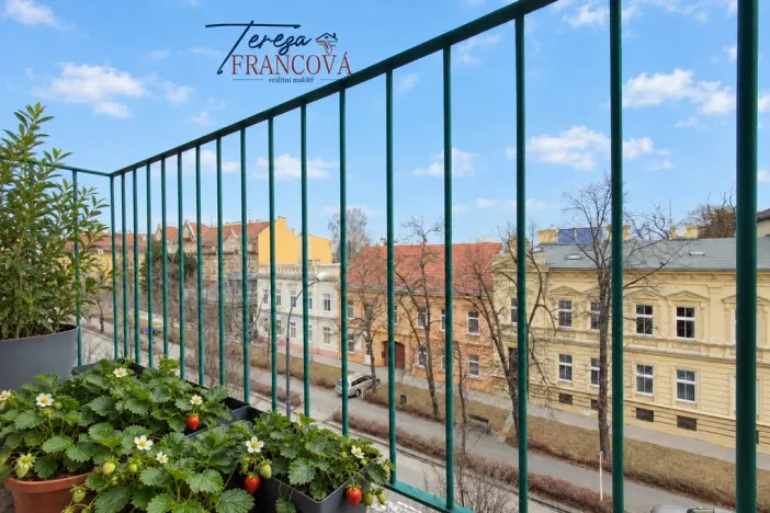 Pronájem bytu 2+1, Prostějov, Svatoplukova, 61 m2