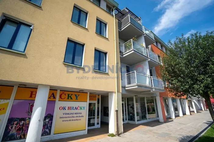 Prodej bytu 2+1, Písek, Čechova, 53 m2