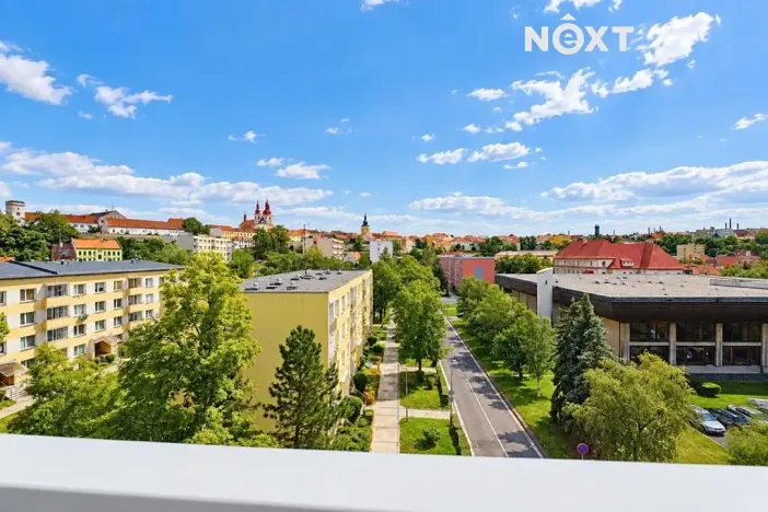 Pronájem bytu 1+kk, Žatec, Ostrov, 20 m2