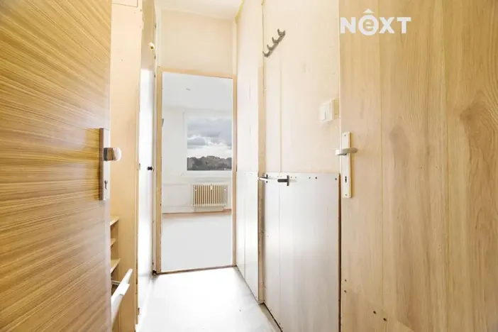 Pronájem bytu 1+kk, Žatec, Ostrov, 20 m2