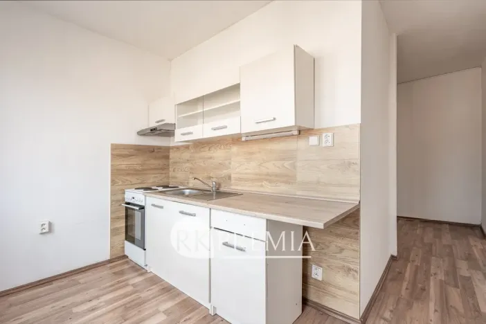 Prodej bytu 2+1, Bílina, M. Švabinského, 54 m2