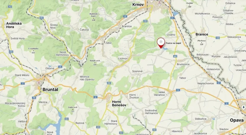 Prodej louky, Brumovice - Úblo, 1160 m2