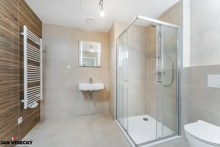 Prodej bytu 1+kk, Plzeň, Železná, 34 m2
