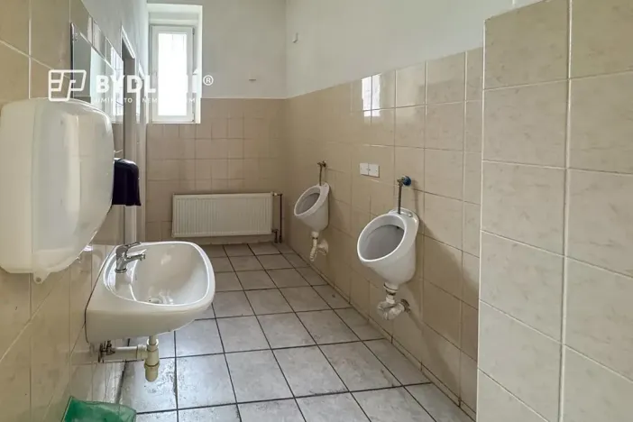 Pronájem restaurace, Teplice, Masarykova třída, 100 m2
