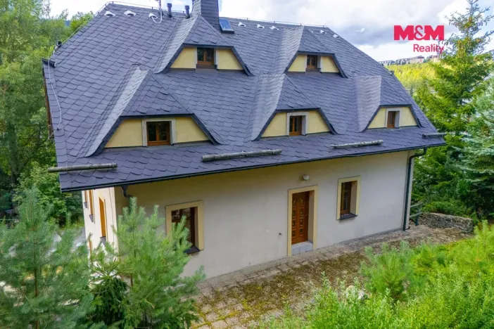 Prodej rodinného domu, Loučná pod Klínovcem - Loučná, 270 m2