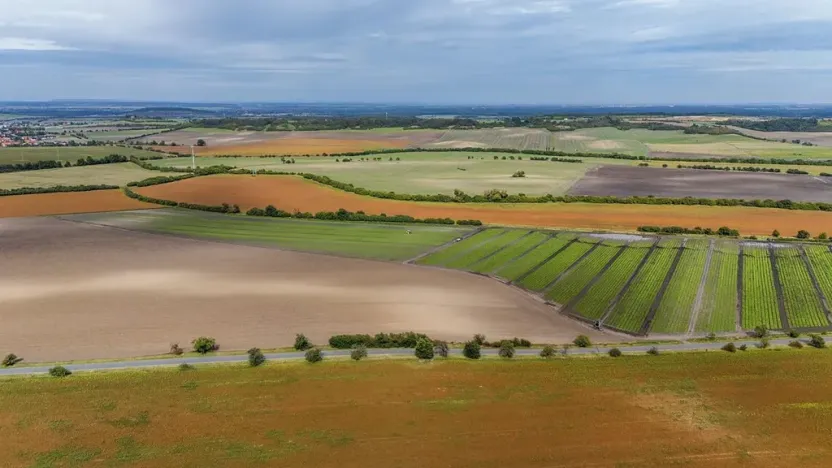 Prodej rodinného domu, Kounice, 116 m2