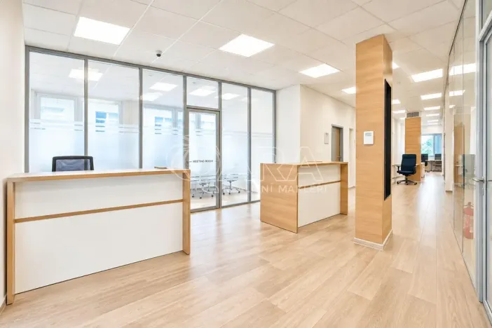 Pronájem kanceláře, Praha - Chodov, Roztylská, 650 m2