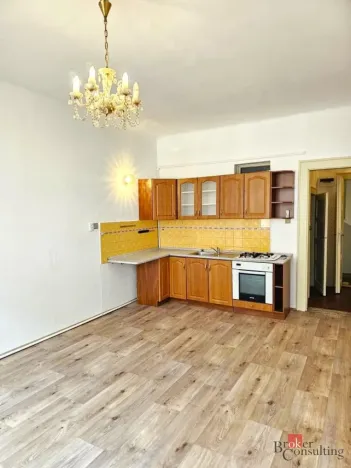 Pronájem bytu 2+kk, Plzeň - Jižní Předměstí, Vrchlického, 52 m2