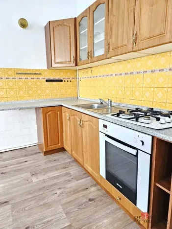 Pronájem bytu 2+kk, Plzeň - Jižní Předměstí, Vrchlického, 52 m2