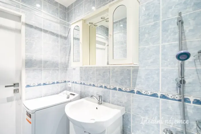 Pronájem bytu 2+kk, Praha, Lessnerova, 43 m2