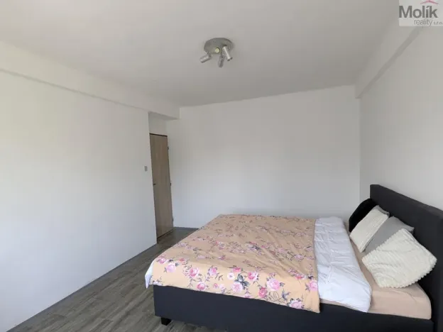Prodej bytu 2+1, Bílina - Teplické Předměstí, M. Švabinského, 59 m2