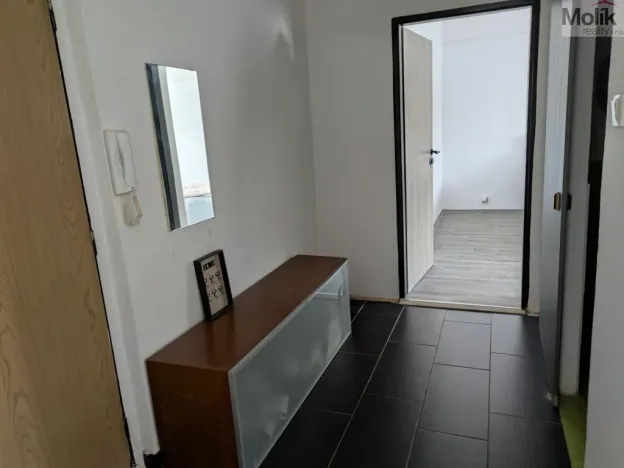 Prodej bytu 2+1, Bílina - Teplické Předměstí, M. Švabinského, 59 m2