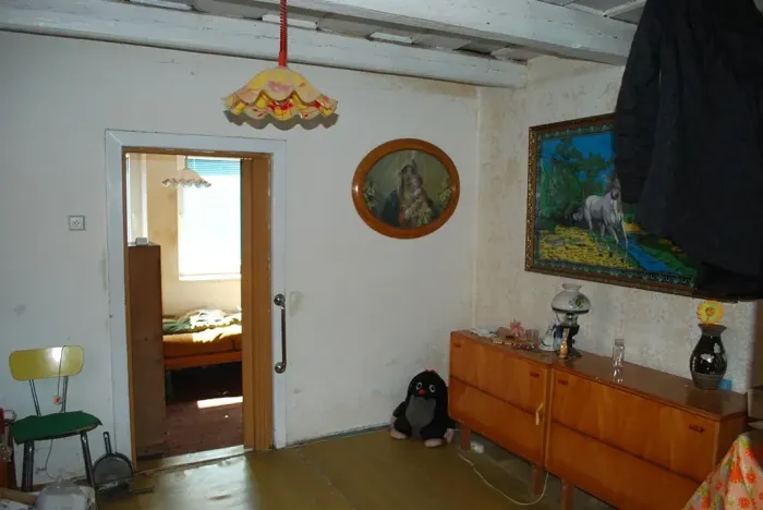 Prodej rodinného domu, Únanov, 45 m2