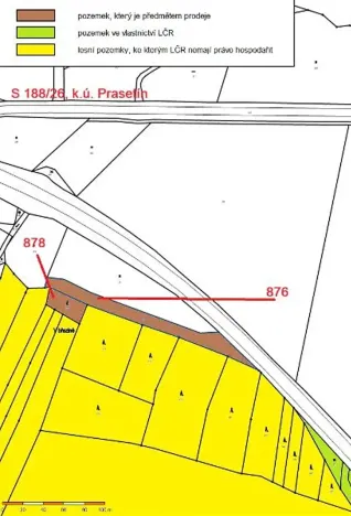 Prodej lesa, Dolní Hořice, 3279 m2