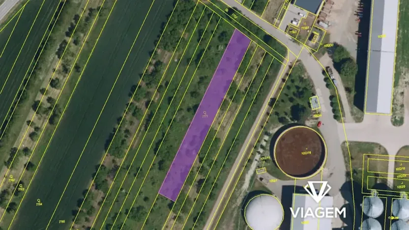 Prodej podílu pole, Velké Pavlovice, 122 m2