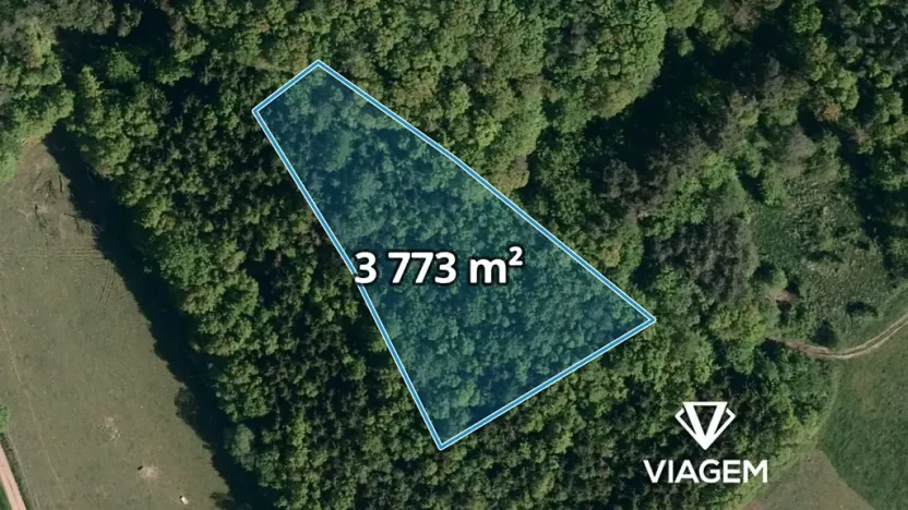 Prodej podílu lesa, Vizovice, 1886 m2