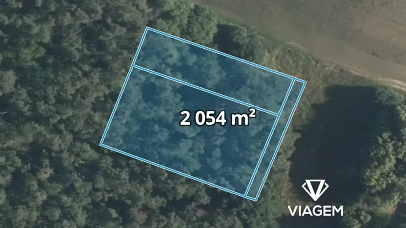 Prodej lesa, Sudovo Hlavno, 2054 m2