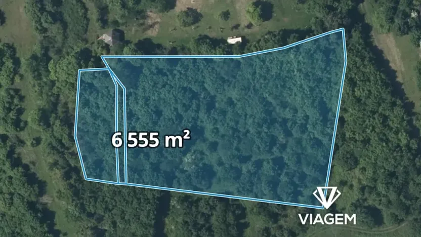 Prodej podílu lesa, Žitenice, 1311 m2