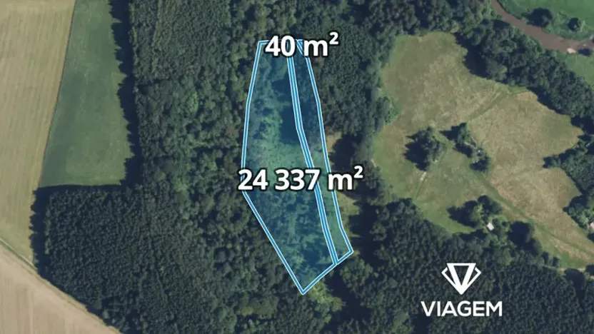 Prodej podílu lesa, Sudislav nad Orlicí, 21329 m2