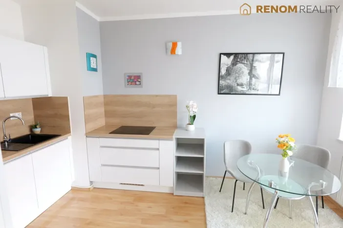 Prodej bytu 1+kk, Olomouc, Rooseveltova, 46 m2