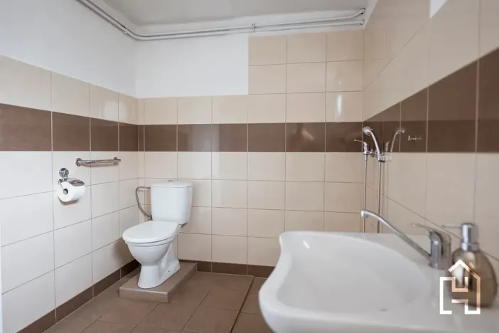 Prodej komerční nemovitosti, Česká Bělá, 312 m2