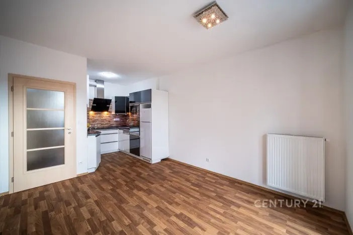 Prodej bytu 2+kk, České Budějovice - České Budějovice 5, Dobrovodská, 42 m2
