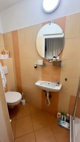 Prodej bytu 4+kk, Teplice, Ruská, 144 m2