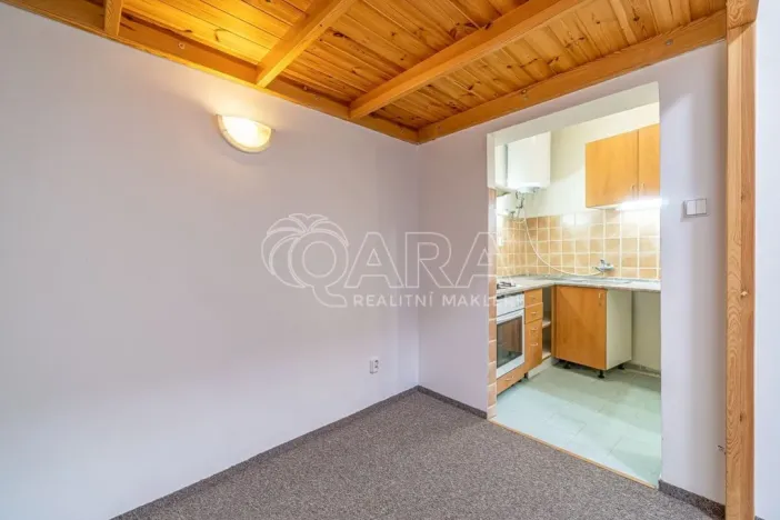 Pronájem bytu 1+kk, Dřevohryzy, 27 m2