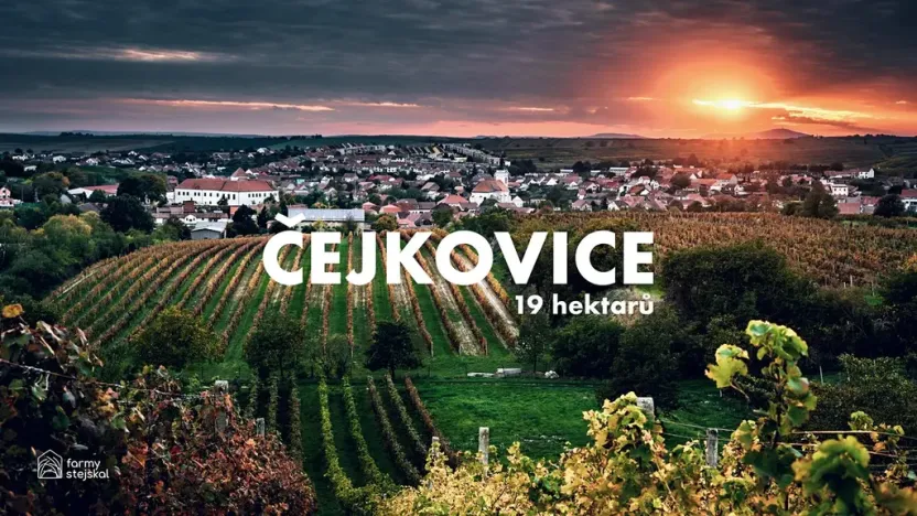 Prodej pole, Čejkovice, 194311 m2