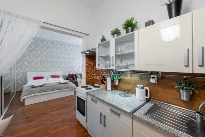 Pronájem bytu 1+kk, Praha - Nové Město, Růžová, 39 m2