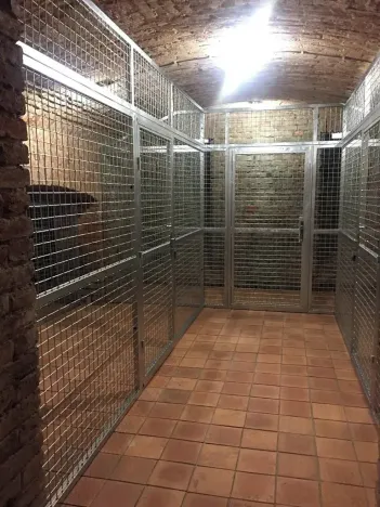 Pronájem bytu 2+1, Praha - Vinohrady, Perunova, 82 m2