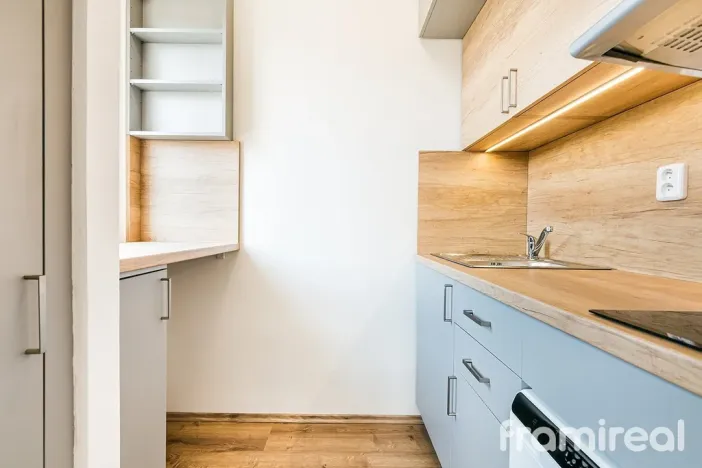 Pronájem bytu 1+kk, Brno, Vídeňská, 30 m2