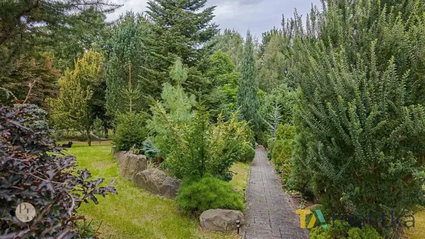 Prodej pozemku pro bydlení, Orlová, U Vodojemu, 2132 m2