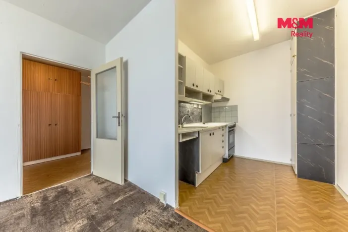 Prodej bytu 2+kk, Mladá Boleslav - Mladá Boleslav II, Jana Palacha, 44 m2
