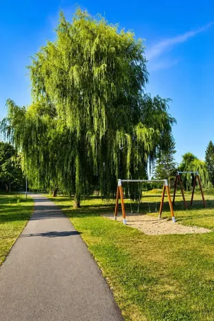 Prodej bytu 1+kk, Bakov nad Jizerou, 40 m2
