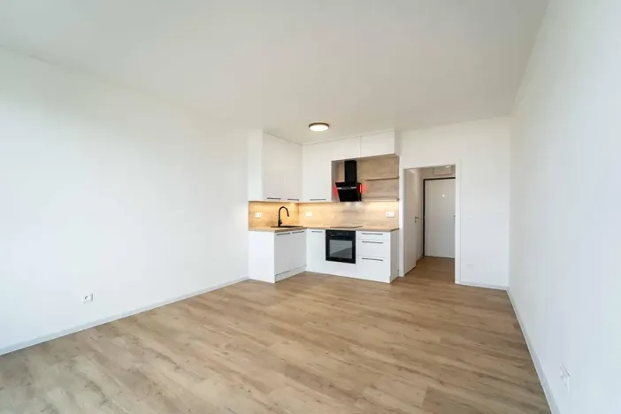Pronájem bytu 1+kk, Olomouc, Aloise Rašína, 29 m2
